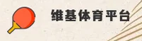 使用指南与常见问题